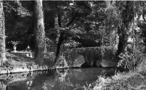 douve-pont-n-600