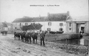 ferme-de-menier-n-600